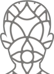 Head / neck